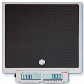 Mobile flat scale